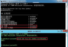 Windows Server上網慢問題解決方案